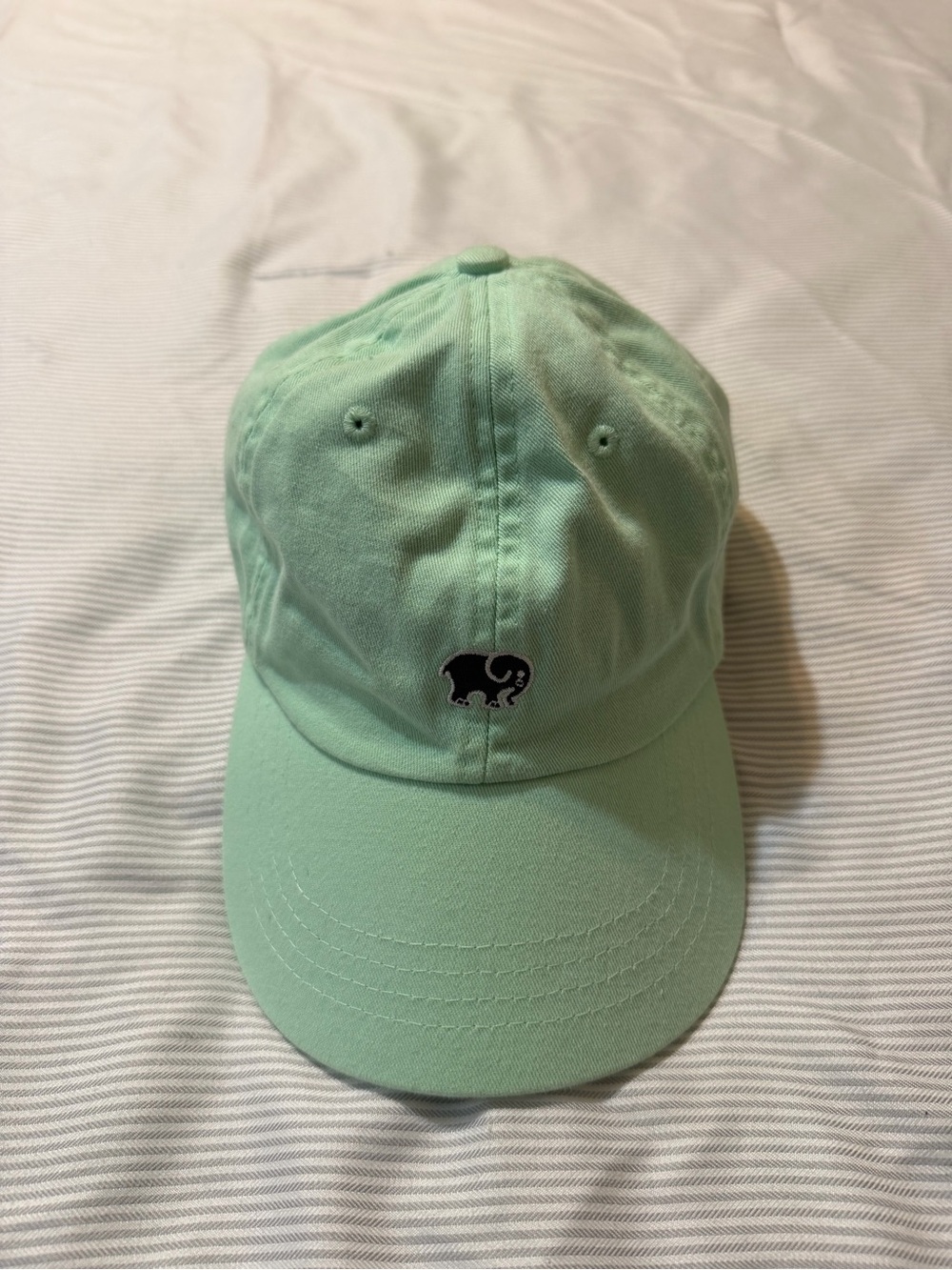 Mint Elephant Embroidered Ivory Ella Logo Baseball Cap